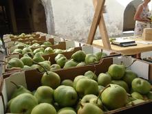 Traditional market for 'Palabir' pears, on 11 September 2021, from 10.00-17.00